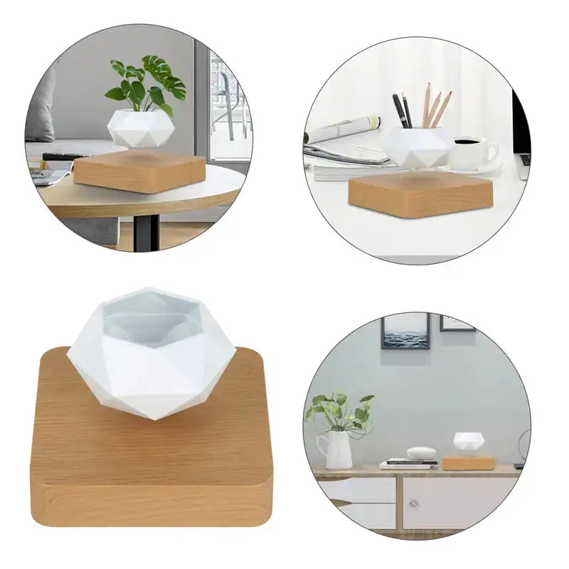 Levitating Air Bonsai Pot sacodise.com