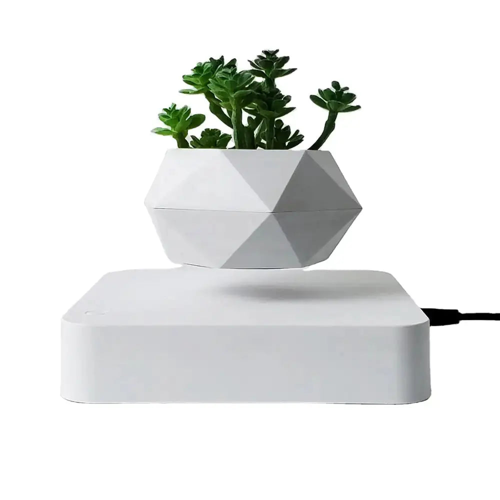 Levitating Air Bonsai Pot sacodise.com