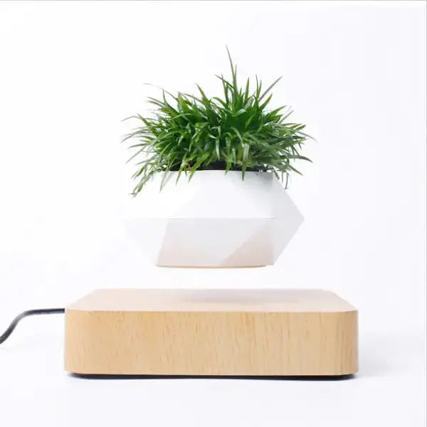 Levitating Air Bonsai Pot sacodise.com