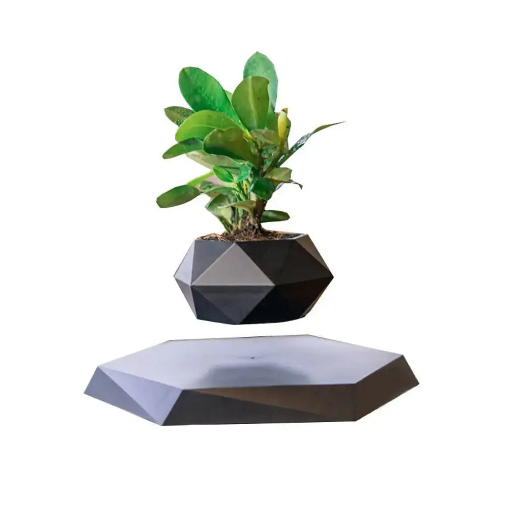 Levitating Air Bonsai Pot sacodise.com