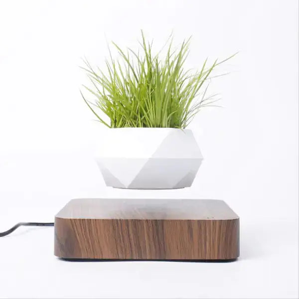 Levitating Air Bonsai Pot sacodise.com