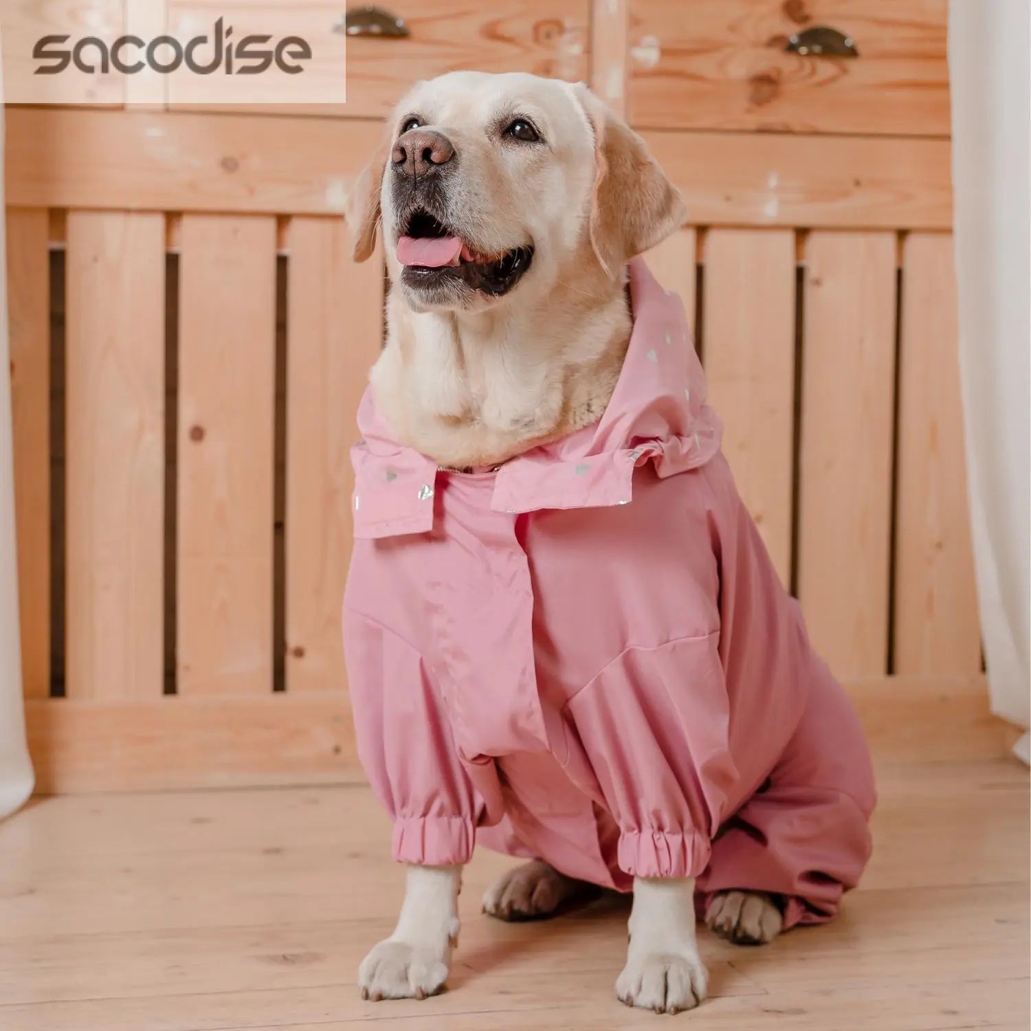 Pets sacodise.com