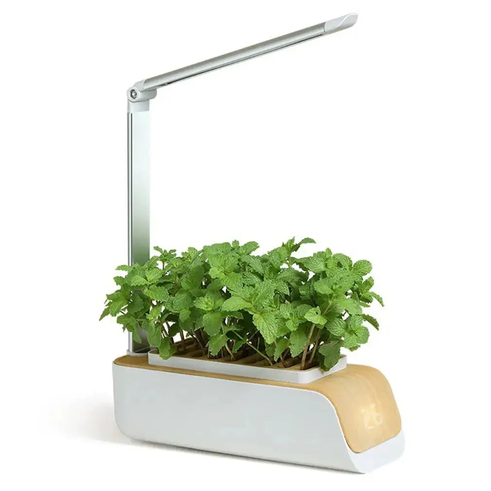 Smart Flower Pot sacodise.com