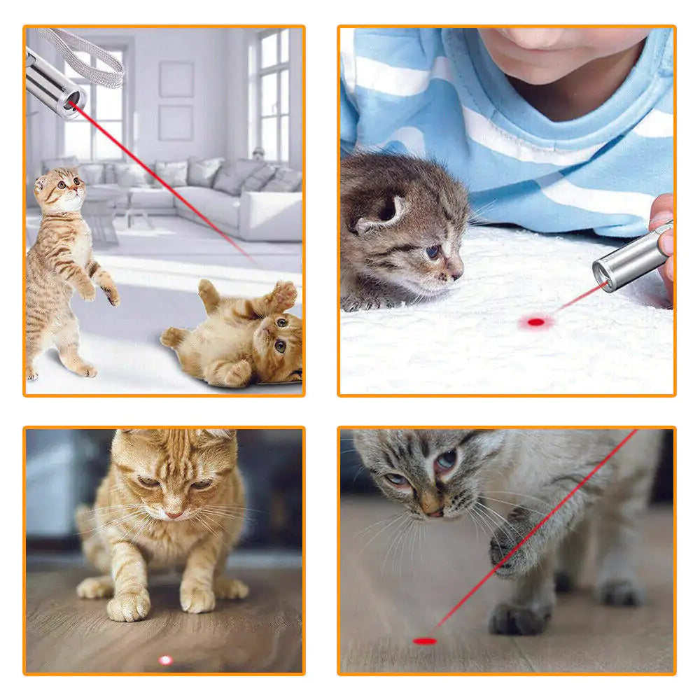 USB Rechargeable Cat Laser sacodise.com